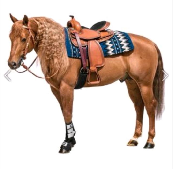 Уестърн потник от чиста новозеландска вълна