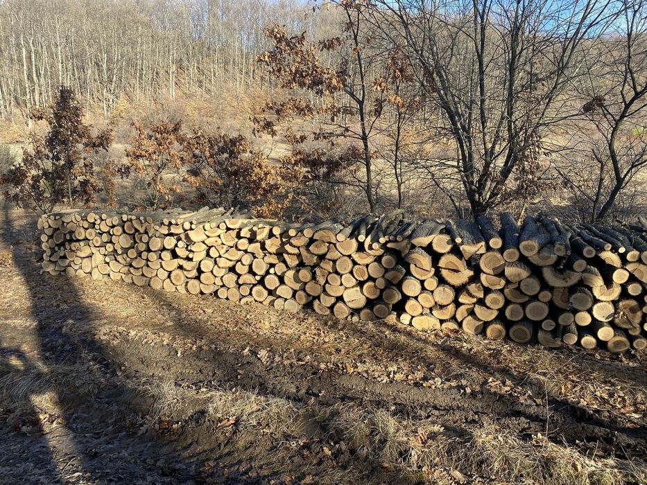 Дърва за огрев нарязани и нацепени бук и дъб Безплатен транспорт