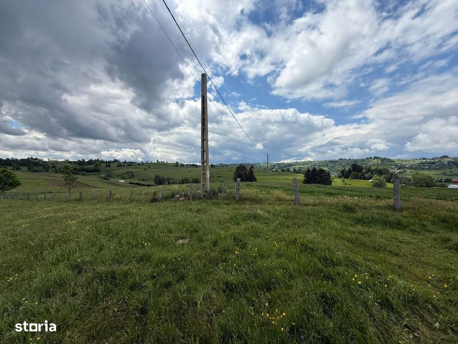 Teren | 13600 mp | Marisel