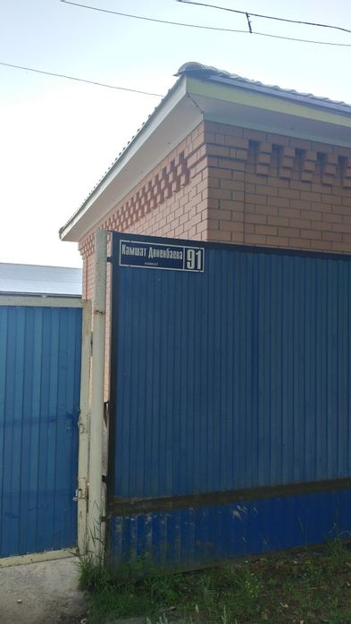 Щенята бесплатно