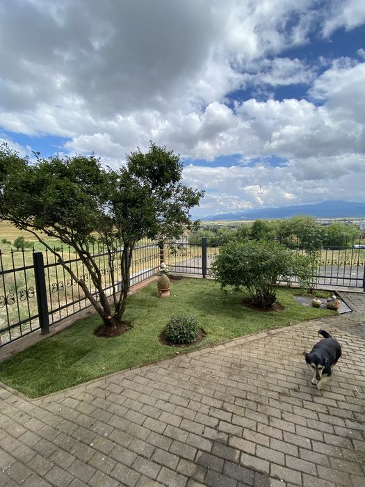 Plantare gazon, gard viu si plante ornamentale + defrisarea gradinilor