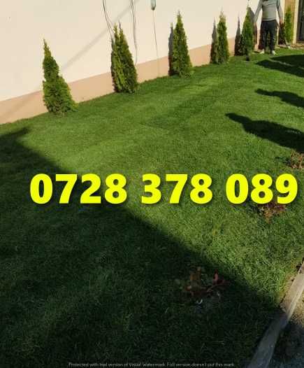 Gazon rulou Sistem de Irigare Oriunde in tara Calitate Extra