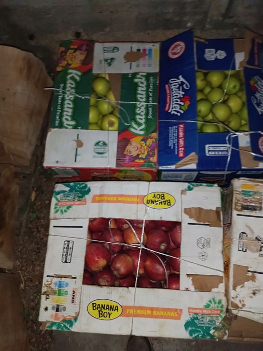 Продам отборные яблоки