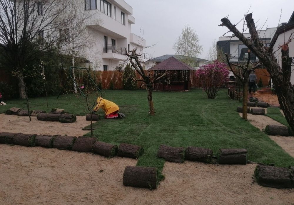 Rulouri de gazon 24 de lei m2 transport și montaj inclus în preț