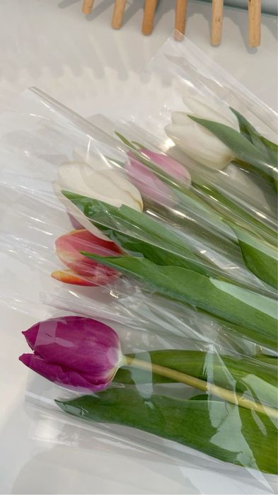 Тюльпан оптом!!!