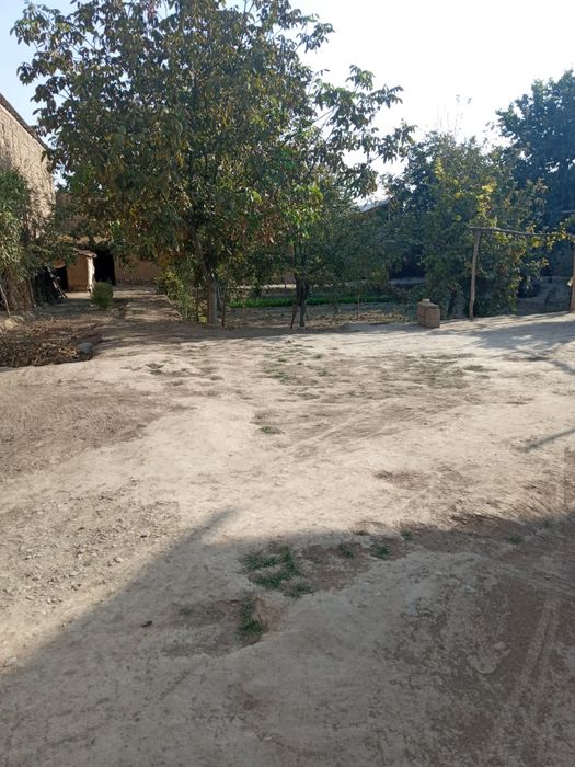 15/40метир атрофи уралган мевали дарахтлари бор