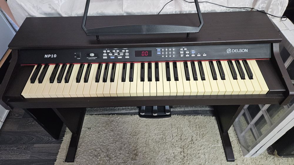 Vand Pian cu aranjor Delson NP10