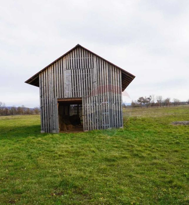 Vând Teren + Fermã+ Baltã de pește în Comuna Sãpânța județul Maramureș