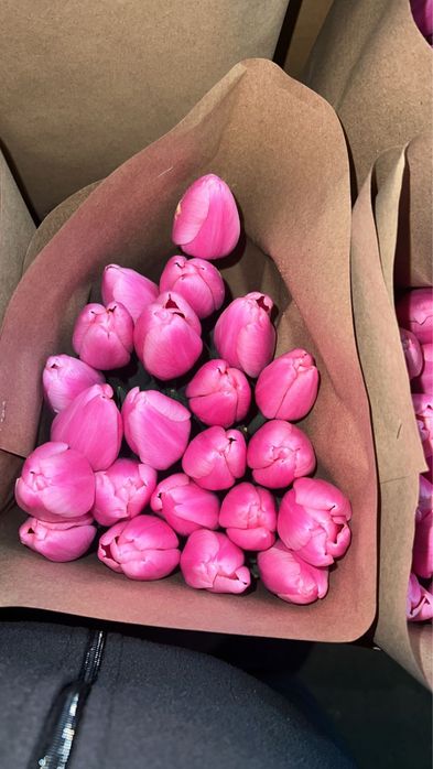 Тюльпаны оптом и в розницу