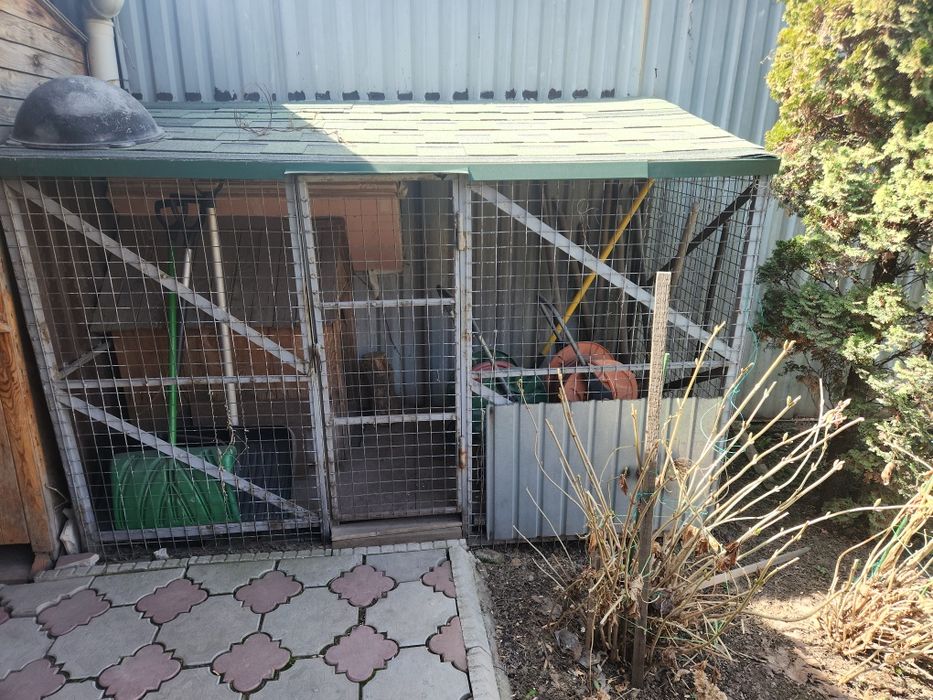 Вольер и будка для собаки