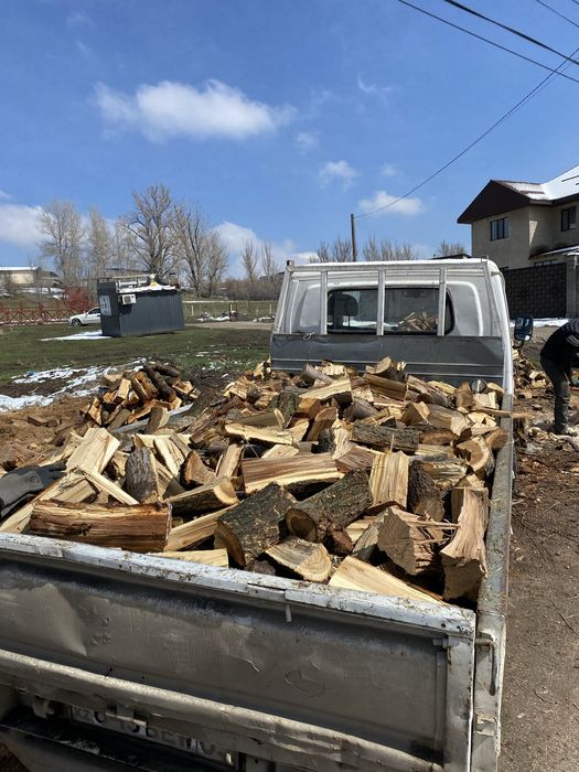 Дрова Карагачь Рубленные