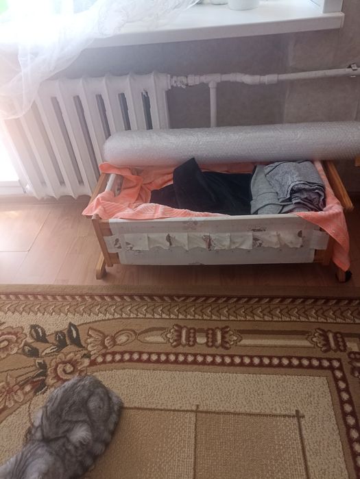 Отдам даром самовывоз