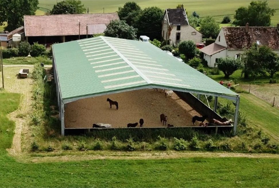 Vand saivane pentru animale