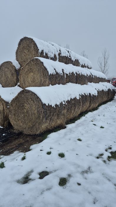 Рулонни бали пшеничена слама