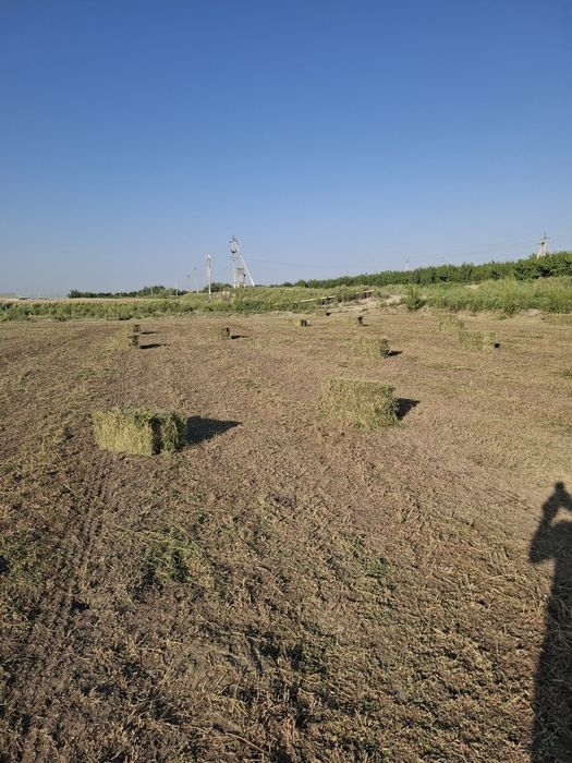 Беда сотилади Ромитанда