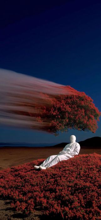 Мобилограф в Алматы