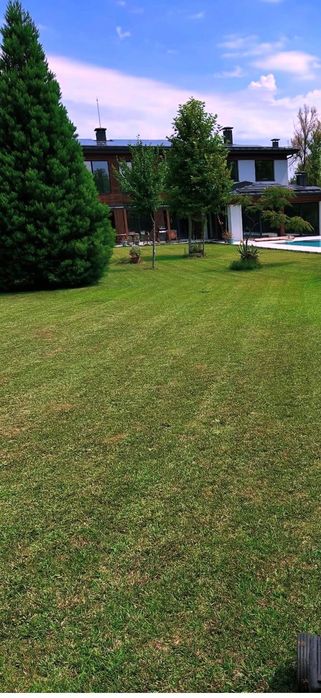 Озеленяване и поддържане на зелени площи