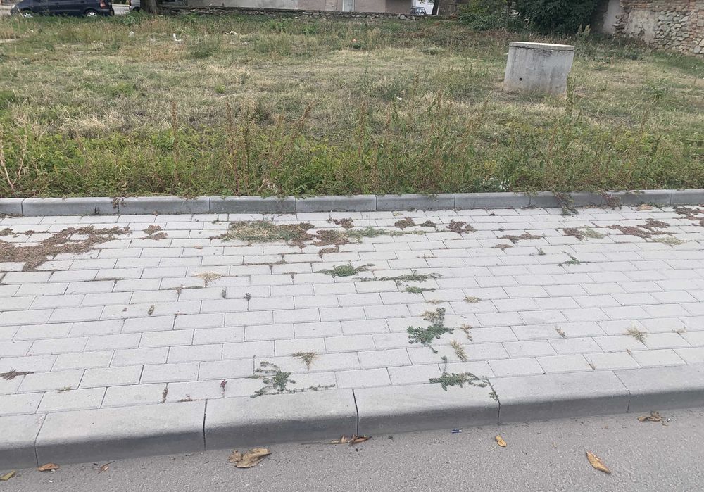 Продава се Парцел в Карлово - 550 кв.м за 264 €/кв.м - Снимка #1