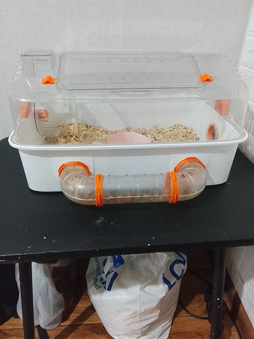 Продам  клетку с хомяком