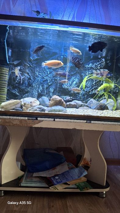 Аквариум полный комплект