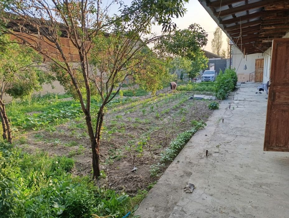 Жумабозор центрда Ховли сотилади