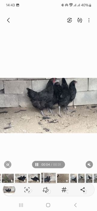 Продам Продам Продам