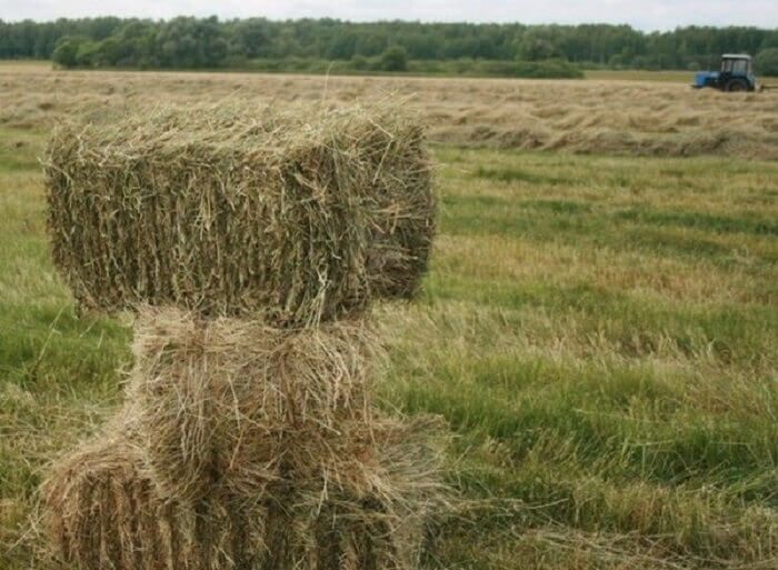 2 гектар жер, рядом с городом. Частная