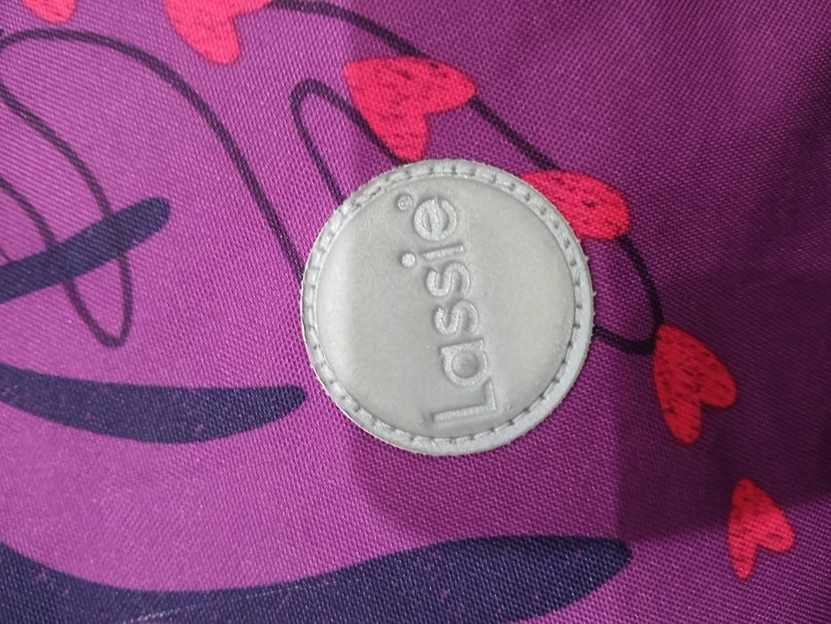 Лэсси фирмасы.  Минусы суретте