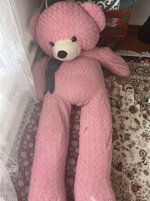 Жарты багасына беремын