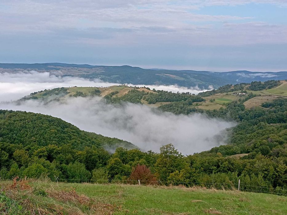 Vand casa batranesca Sopotul Nou si 24ha pasune total 125000euro
