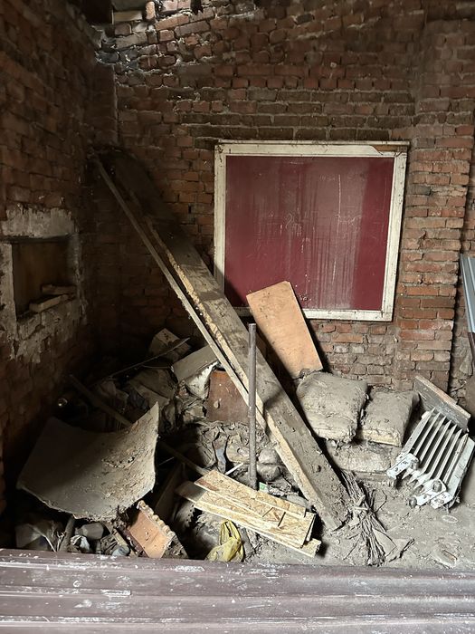 Дерево беслпатно дрова