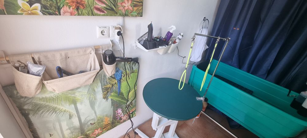 Tund câini de talie mică și medie