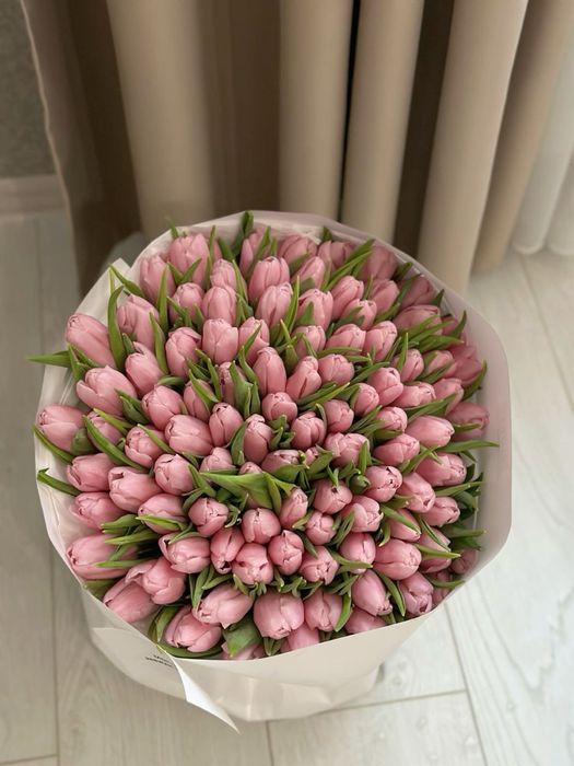 Тюльпаны оптом и в розницу по самой низкой цене