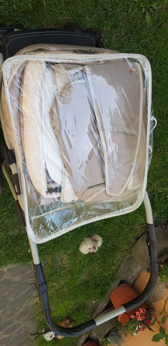 Vand Carucior 2 in 1 Krasnal Coral