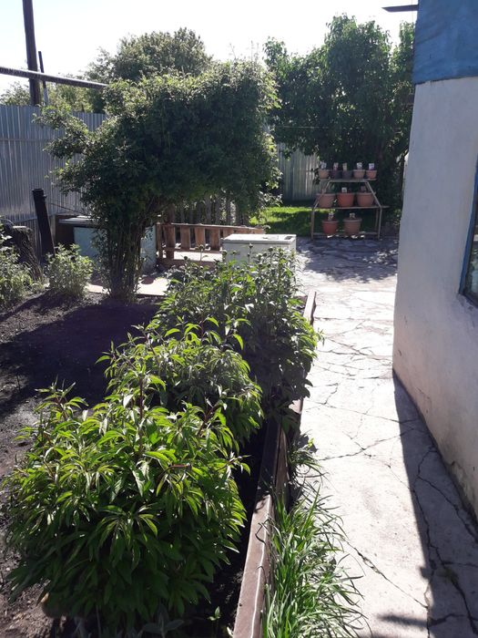 Продам частный дом