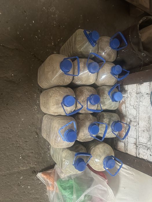 Ракушка кормовая