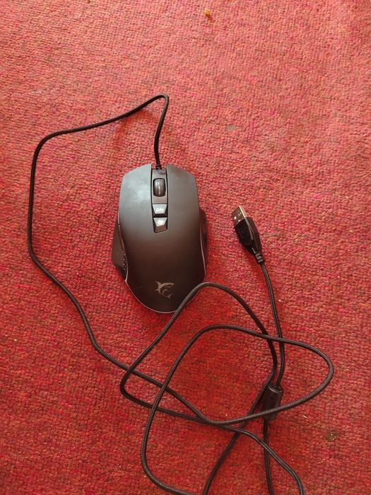 Mouse  white shark