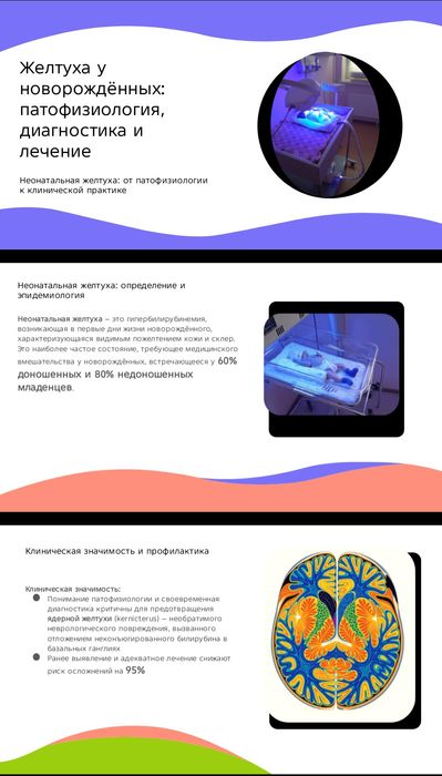 Услуга по переводу текста