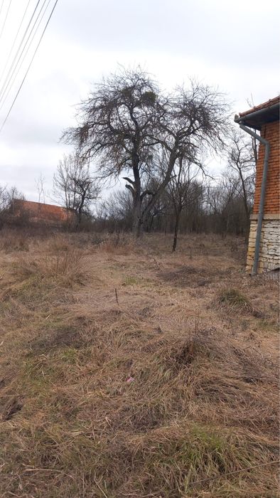 Casa si teren in Topa nr 21 jud Cluj