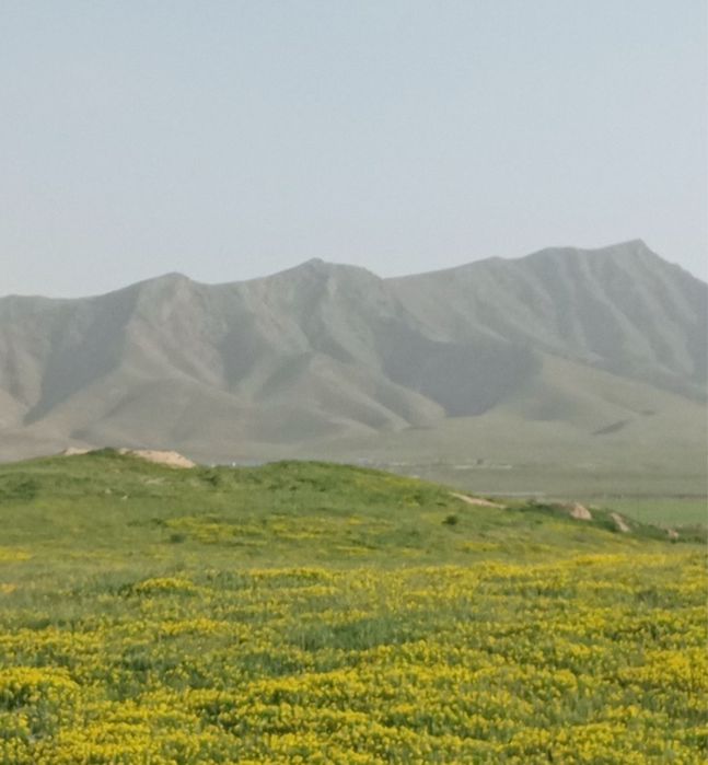 Участок в сазагане 2 участка по 6 соток