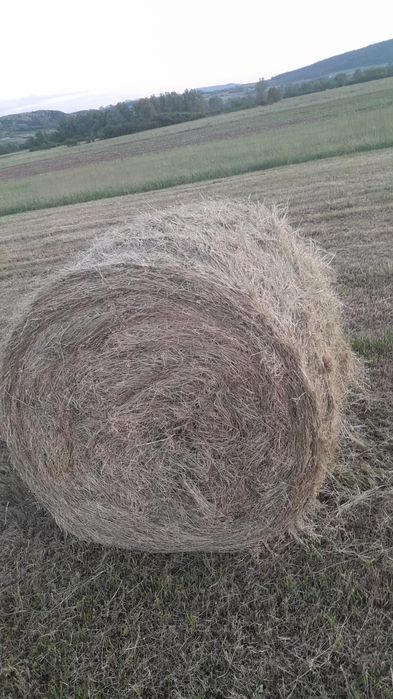 Baloti de fan rotunzi