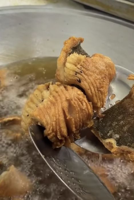 Аппарат для дробления рыбных костей.