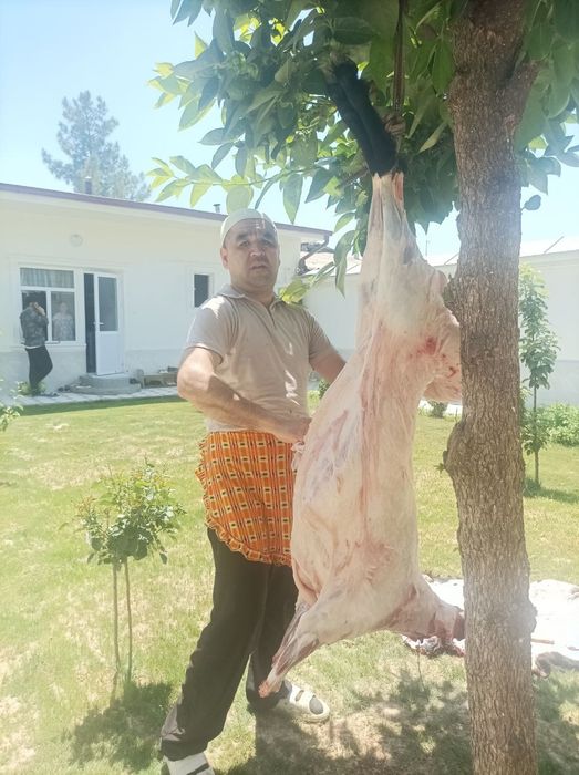 Ошпазлик хизмати  повир хизматлар oshpazlik xizmat