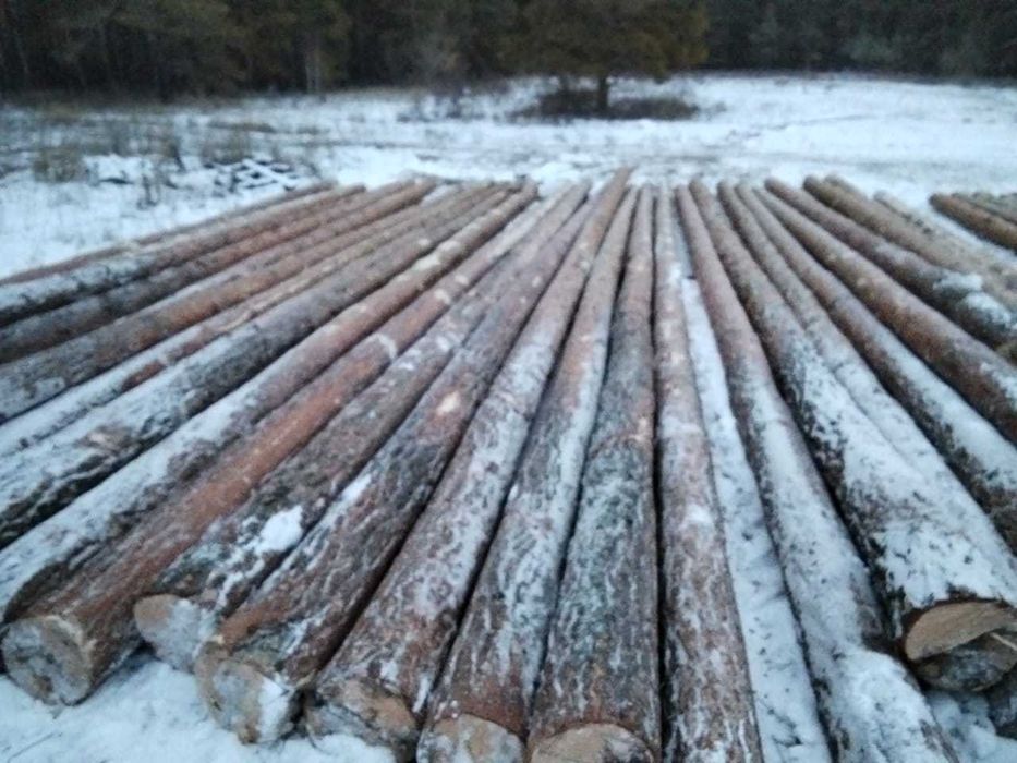 Деревянные опоры для ЛЭП и пиломатериалы