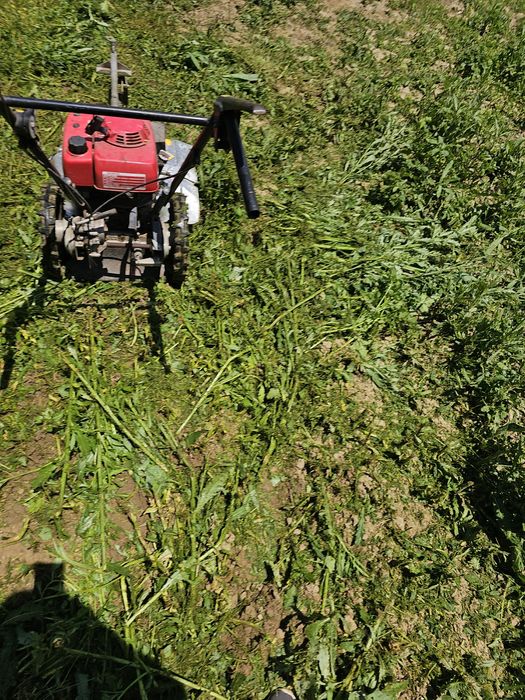 Професионална косачка за висока трева  хонда honda um 21