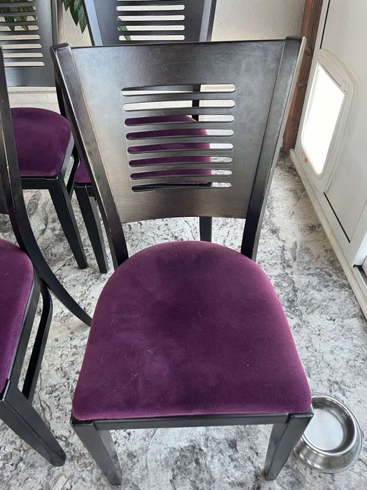 Столове. Троянски дъб.