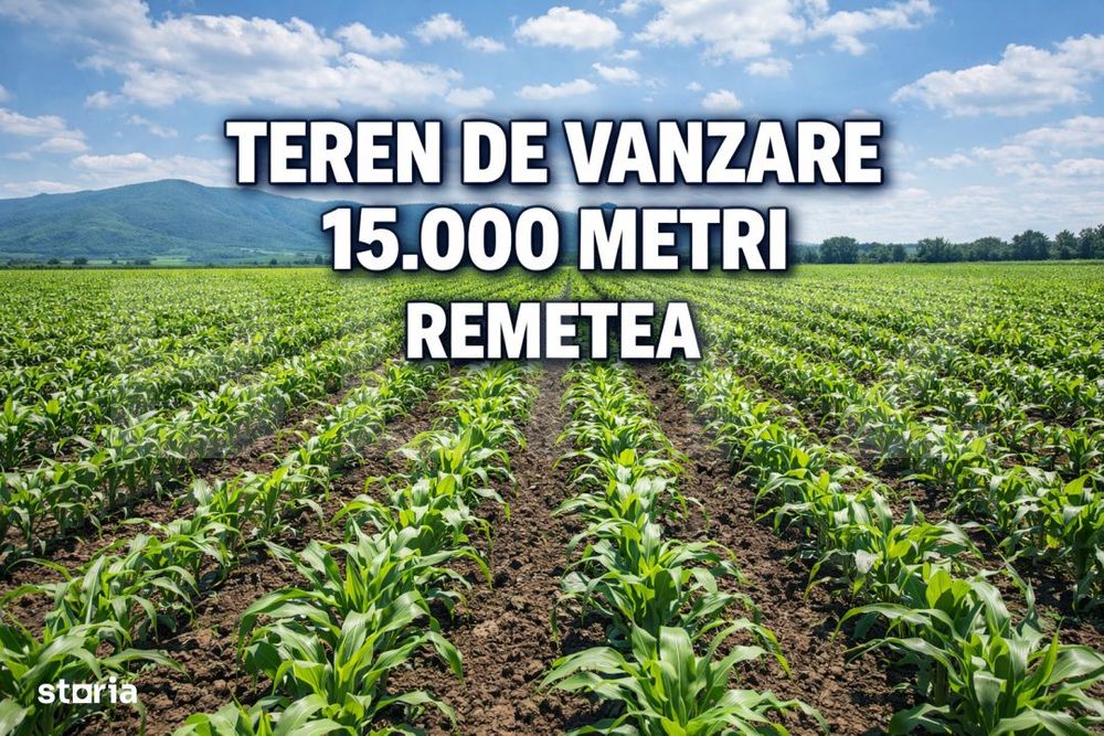 Teren de vanzare, 15.000 M, Remetea