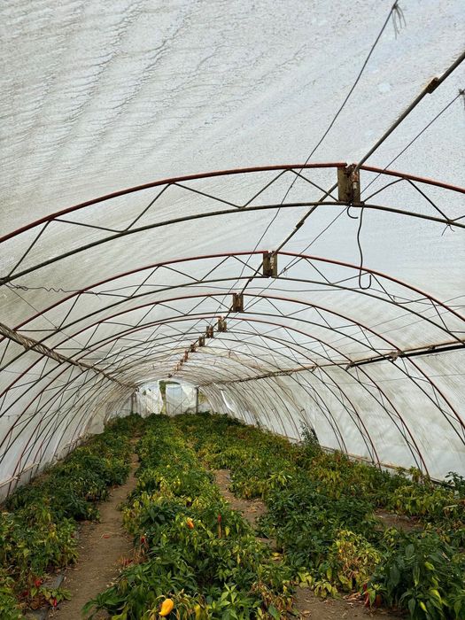 Продавам оранжерии и инвентар