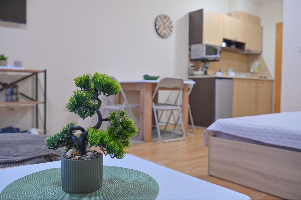 Дава се под наем Едностаен апартамент в Разлог - 46 кв.м за 66.3 € - Снимка #6