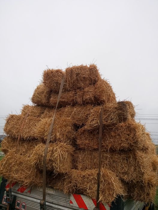 Paie curate uscate așternut animale baloți mici